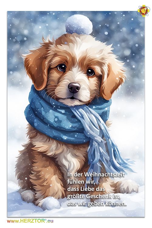 Bild, image, HERZTOR zum Thema Hund im Winter