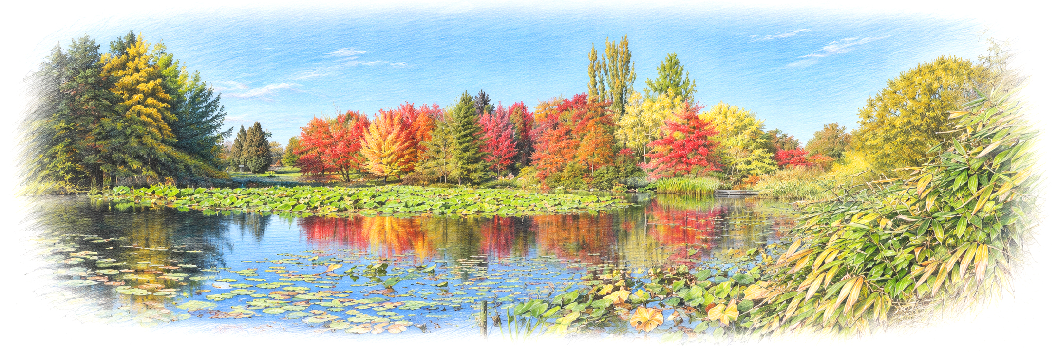 Feine Buntstiftzeichnung eines herbstlichen Seerosenteichs mit leuchtend roten, goldenen und grünen Bäumen unter blauem Himmel.