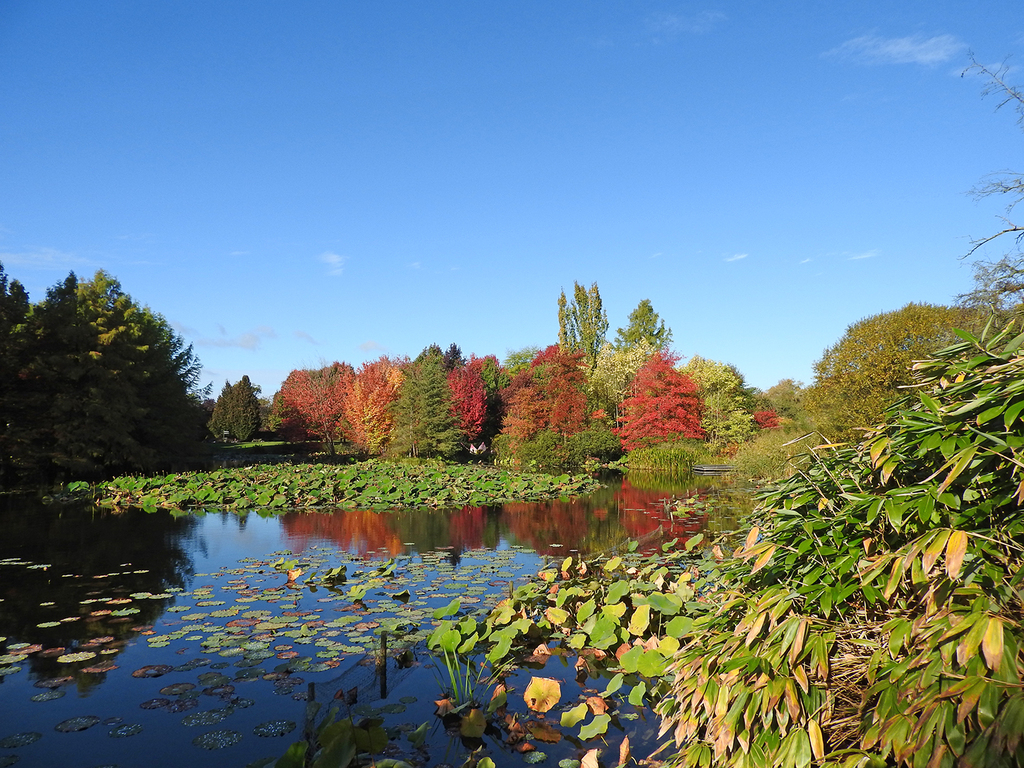 Goldener Oktober